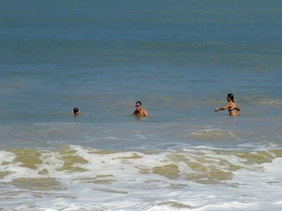 coco palm villa and cabanas