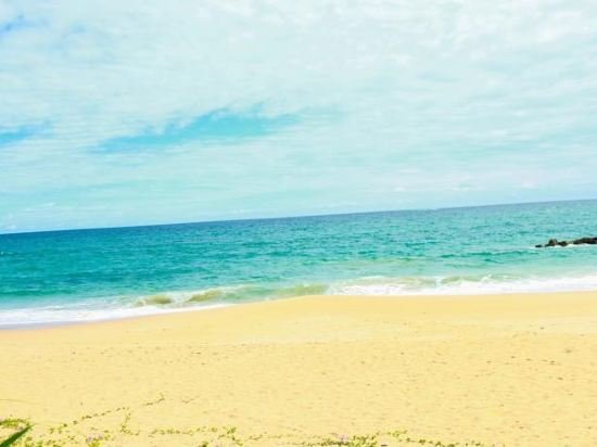 coco palm villa and cabanas