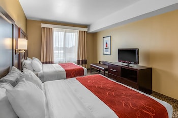 comfort suites seaford