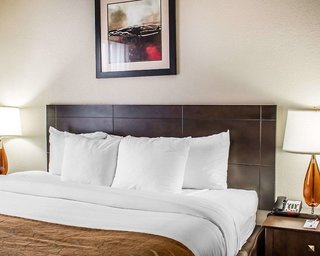 Comfort Suites Wilson I-95,Wilson>>Rocky Mount,3 star