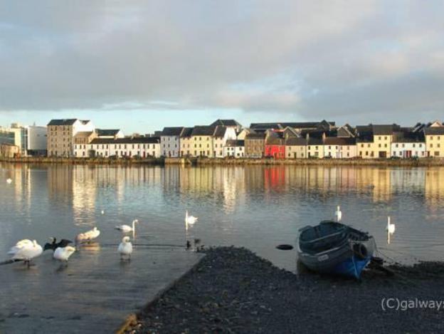 kinlay hostel galway