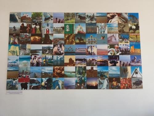 saintes maries de la mer