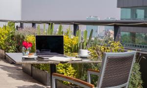 Alteza Polanco,Miguel Hidalgo>>Mexico City,4 star