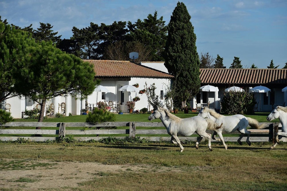 hotel mas de la grenouillere