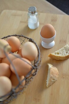 hotel mas de la grenouillere