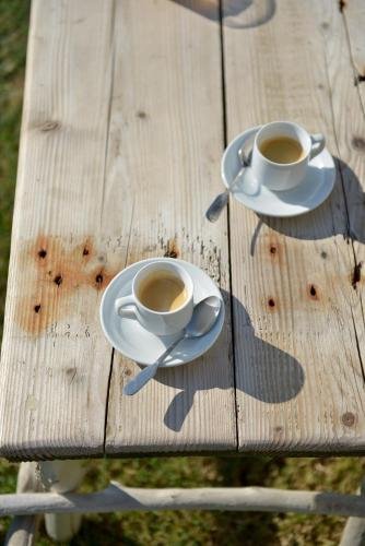 saintes maries de la mer