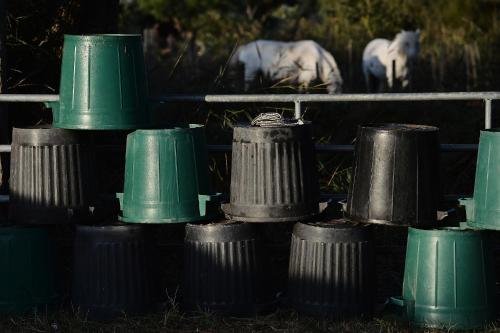 saintes maries de la mer