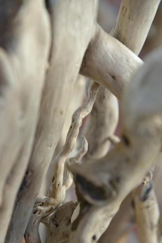 saintes maries de la mer