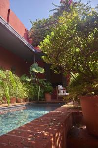 be jardin escondido by coppola