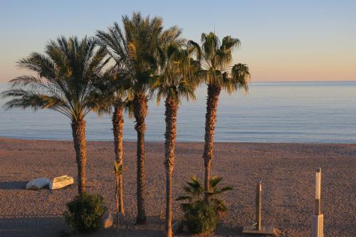 hotel alboran