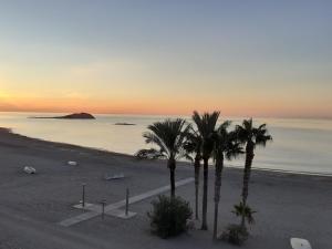 carboneras