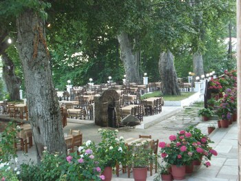 hani zisi hotel