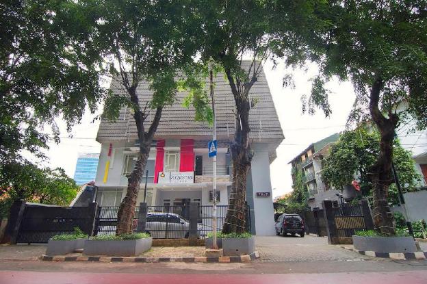 house of arsonia tulip