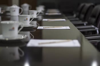 house of arsonia tulip