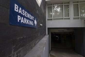 house of arsonia tulip