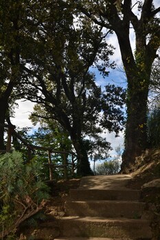 la bastide de vaison