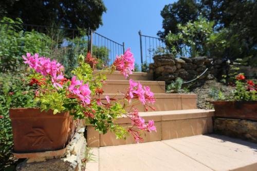 la bastide de vaison