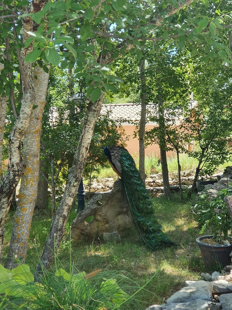 domaine du val de sault