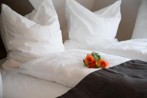 alpha and omega hotel