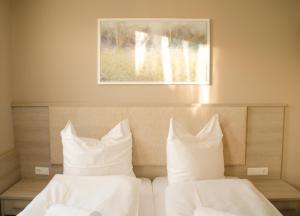 alpha and omega hotel
