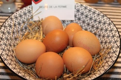 hotel jardin le pasteur