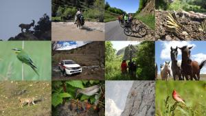 eco lodge caucasus wildlife refuge