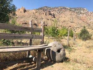 eco lodge caucasus wildlife refuge