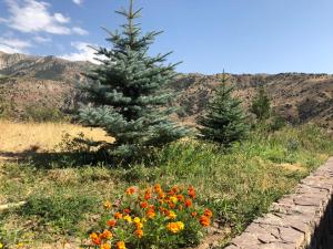 eco lodge caucasus wildlife refuge