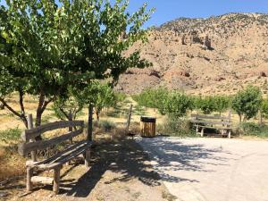 eco lodge caucasus wildlife refuge