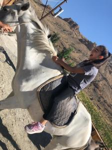 eco lodge caucasus wildlife refuge