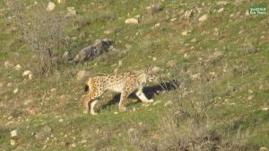 eco lodge caucasus wildlife refuge
