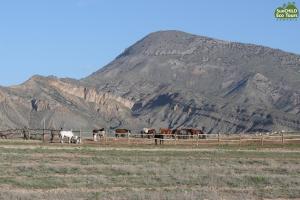 eco lodge caucasus wildlife refuge