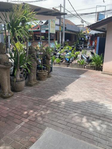 kuta