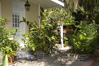 dauphine orleans hotel