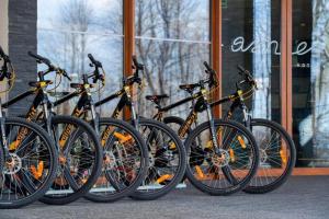 aspen prime ski and bike resort