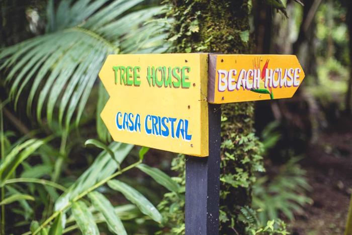 tree house beachfront lodge