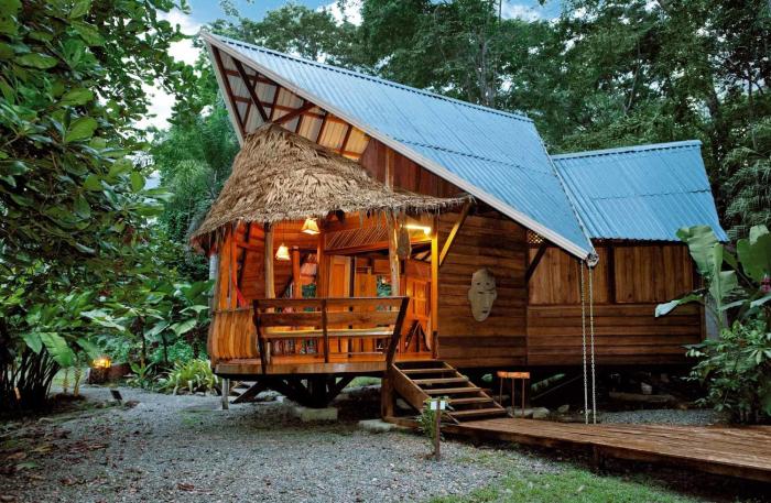 tree house beachfront lodge