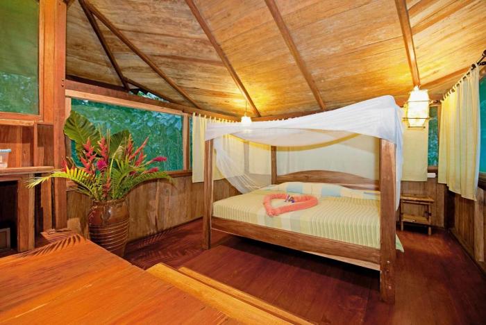 tree house beachfront lodge