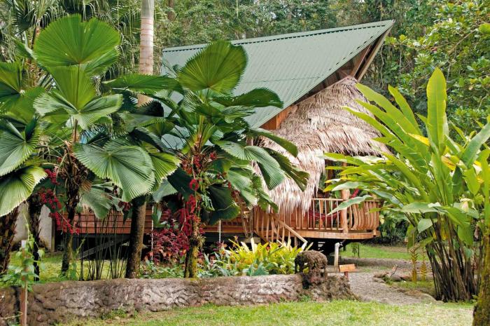 tree house beachfront lodge