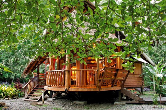 tree house beachfront lodge