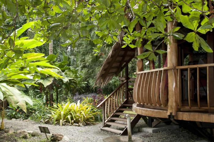 tree house beachfront lodge