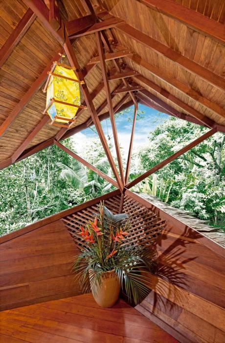 tree house beachfront lodge