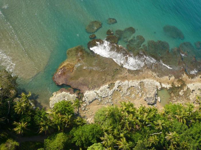 tree house beachfront lodge