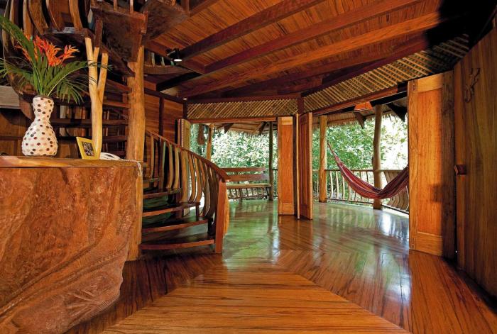 tree house beachfront lodge