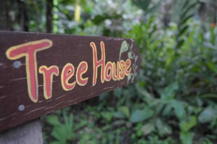 tree house beachfront lodge