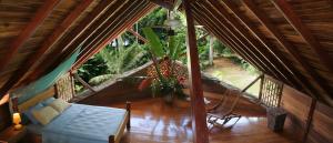 tree house beachfront lodge