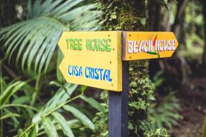 tree house beachfront lodge