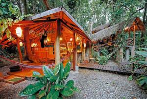 tree house beachfront lodge