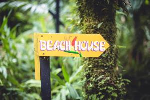 tree house beachfront lodge
