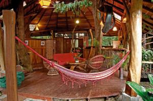 tree house beachfront lodge